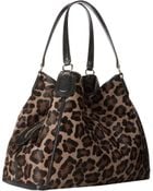 Coach Printed Haircalf Large Edie Shoulder Bag - Lyst