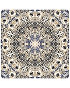 Temperley London Dune Leopard Scarf - Lyst