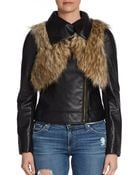 Twelfth Street Cynthia Vincent Faux Leather Moto Jacket - Lyst