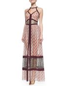 Tamara Mellon Banded Halter Maxi Dress - Lyst