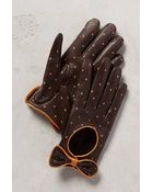 Anthropologie Dotty Driving Gloves - Lyst