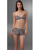 3.1 Phillip Lim Printed Lace Bralette - Lyst