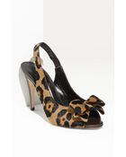 Manolo Blahnik Joriano Leopard Haircalf Slingback Pumps - Lyst