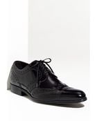 Dolce & Gabbana Wing Tip Oxford - Lyst