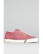 Pro Keds The Royal Cvo Sneaker in Burgandy - Lyst