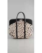 Alexander Wang Dimanche Haircalf Structured Bag - Lyst