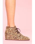 Nasty Gal Leopard Desert Boot - Lyst