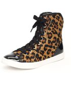MICHAEL Michael Kors City High-top Sneaker, Luggage - Lyst