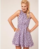ASOS Collection Asos Skater Dress in Leopard Print - Lyst