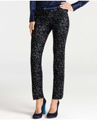 Ann Taylor Animal Print Ankle Pants - Lyst