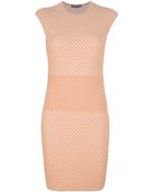 Alexander McQueen Crochet Knit Print Dress - Lyst