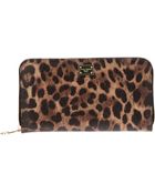 Dolce & Gabbana Leopard Print Wallet - Lyst