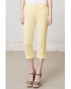 Anthropologie Eyelet Crops - Lyst