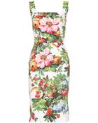 Dolce & Gabbana Print Dress - Lyst