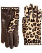 Valentino Leopardprint Leather and Calf Hair Gloves - Lyst