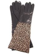 Diane von Furstenberg Calf Hair and Leather Gloves - Lyst