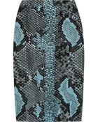 Antonio Berardi Pythonjacquard Pencil Skirt - Lyst