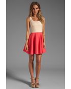 Blaque Label Dress - Lyst