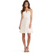 Alice + Olivia Devorah Bustier Mini Dress - Lyst