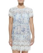 Zimmermann Confetti Short-sleeve Dress W Scallop Trim - Lyst