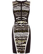 Coast Adrianna Dress - Lyst