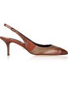 Dolce & Gabbana Bellucci Ayers And Suede Slingback Pumps - Lyst