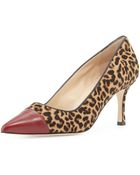 Manolo Blahnik Bipunta Calf Hair Cap-Toe Pump - Lyst