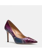 Coach Teddie Heel - Lyst