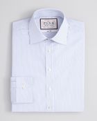Thomas Pink Non-Iron Auden Stripe Dress Shirt - Slim Fit - Lyst