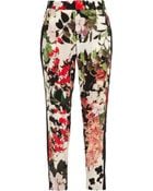 Roberto Cavalli Eden Floral-Print Silk Tapered Pants - Lyst