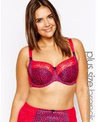 Panache Sculptresse Chi Chi D-hh Full Cup Bra - Lyst