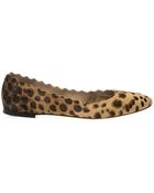 Chloé Lauren Leopard Calf-Hair Flats - Lyst