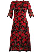 Dolce & Gabbana Rose-Embroidered Lace Dress - Lyst