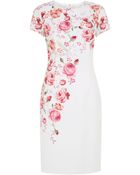 Hobbs Invitation Rose Garden Dress - Lyst