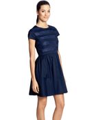 Cynthia Steffe Floral Striped A-Line Dress - Lyst