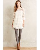 Sachin & Babi Daisylace Shift Dress - Lyst