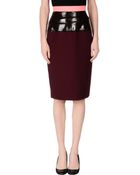 Roksanda Ilincic Knee Length Skirt - Lyst