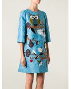 Dolce & Gabbana Owl Embroidered Dress - Lyst