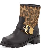 Giuseppe Zanotti Leopard-Print Motorcycle Boot - Lyst