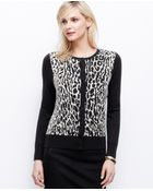 Ann Taylor Animal Jacquard Ann Cardigan - Lyst