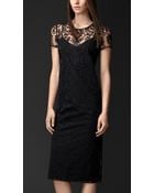 Burberry Embroidered Lace Fitted Dress - Lyst