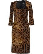 Class Roberto Cavalli Short Dress - Lyst