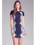 Bebe Print Scuba Dress - Lyst