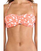 Shoshanna Coral Reef Bandeau Bikini Top - Lyst