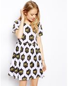 Asos Skater Dress In Elephant Print - Lyst