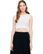 Club Monaco Annalisa Crop Sweater - Lyst