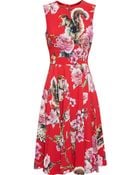 Dolce & Gabbana Wildlife Print Crepe Dress - Lyst