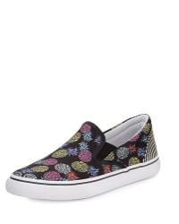 Sophia Webster Adele Pineapple Skate Sneaker - Lyst