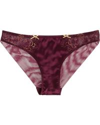 Elle Macpherson Golden Talisman Stretch-Silk And Mesh Briefs - Lyst