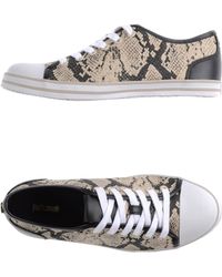 just cavalli trainers womens